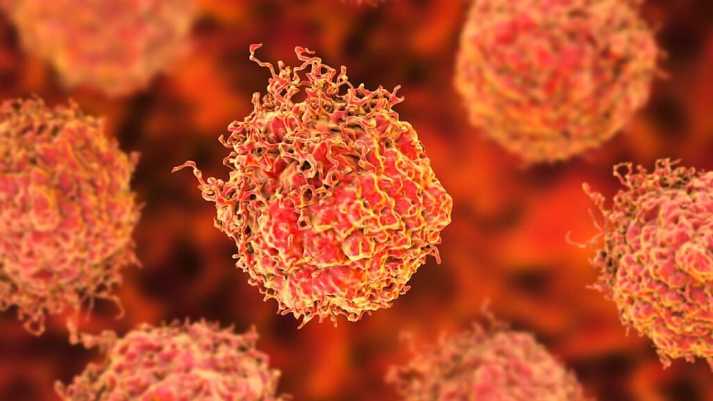 Forscher entdecken Zusammenhang zwischen aggressiven Tumoren und Testosteronspiegel